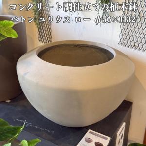 テラコッタ植木鉢 大型 11号 赤土 モスポットシリーズ ms-400b11e