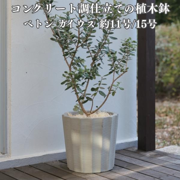 植木鉢 おしゃれ 大型 コンクリート ベトン ガイウス 15号 11号 ファイバーセメント グレー ...