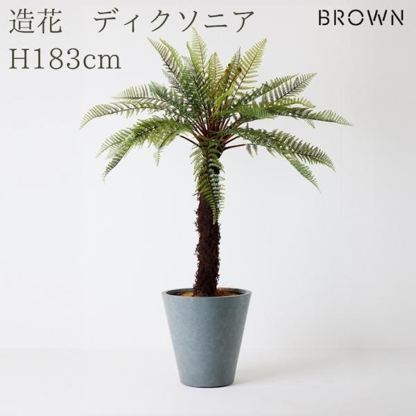 観葉植物 造花 ディクソニア 183cm 大型 珍しい フェイクグリーン 人工観葉植物 リアル 本物...