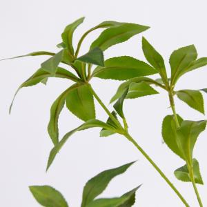 観葉植物 造花 アセビ 大型 全高150cm ...の詳細画像1