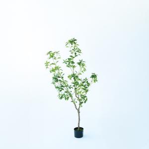 観葉植物 造花 アセビ 大型 全高150cm ...の詳細画像5