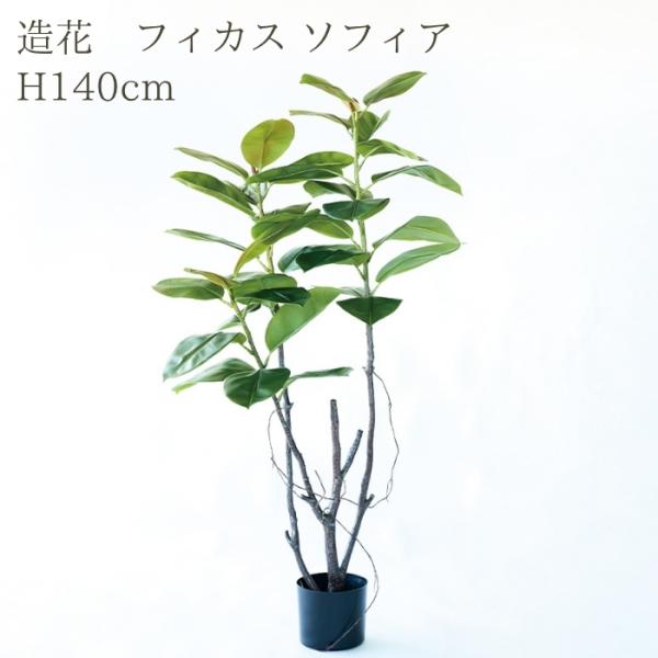 観葉植物 造花 フィカス ソフィア 大型 全高140cm フェイクグリーン 人工観葉植物 本物そっく...