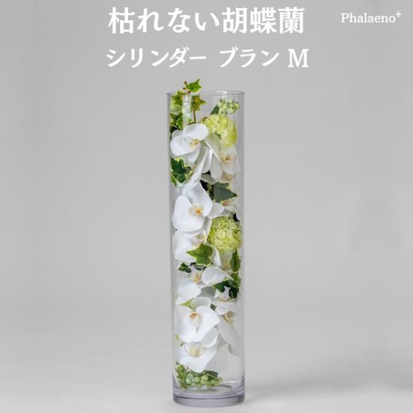 胡蝶蘭 造花 シリンダーブラン L 枯れない アーティフィシャルフラワー 高級 ギフト 開店祝い 就...