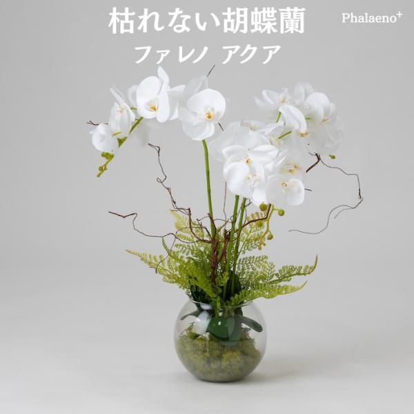 胡蝶蘭 造花 ファレノ アクア 枯れない アーティフィシャルフラワー 高級 ギフト 開店祝い 就任祝...