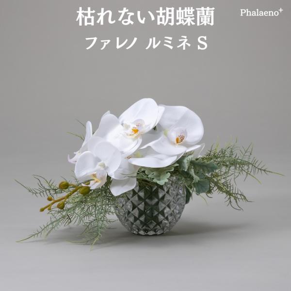胡蝶蘭 造花 ファレノ ルミネS 枯れない アーティフィシャルフラワー 高級 ギフト 開店祝い 就任...