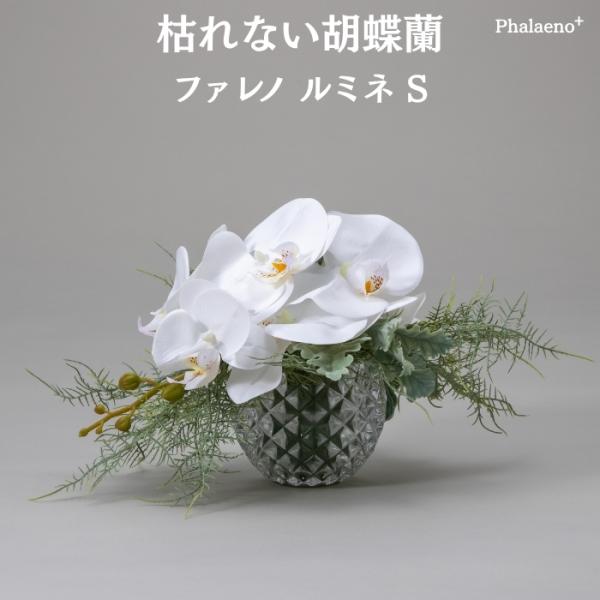 胡蝶蘭 造花 ファレノ ルミネL 枯れない アーティフィシャルフラワー 高級 ギフト 開店祝い 就任...