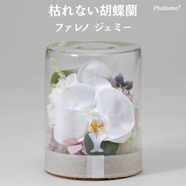 胡蝶蘭 造花 ファレノ ジェミー 枯れない アーティフィシャルフラワー 高級 ギフト 開店祝い 就任...