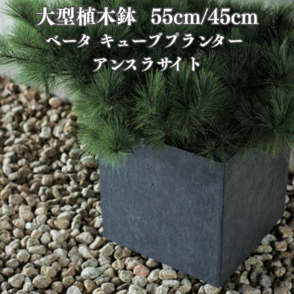 植木鉢 大型 おしゃれ 四角 角型 キューブ 45cm KONTON ベータ アンスラサイト ファイ...