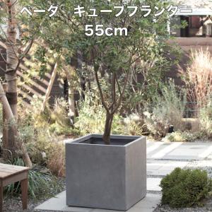 植木鉢 ベータ キューブプランター Mサイズ グレー 四角 おしゃれな