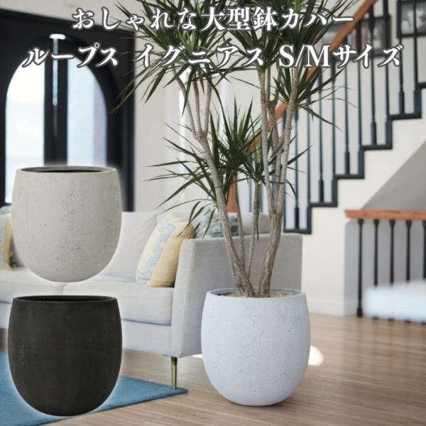 鉢カバー 大型 おしゃれ 15号 11号 M S サイズ 丸型 卵型 植木鉢 KONTON ループス...