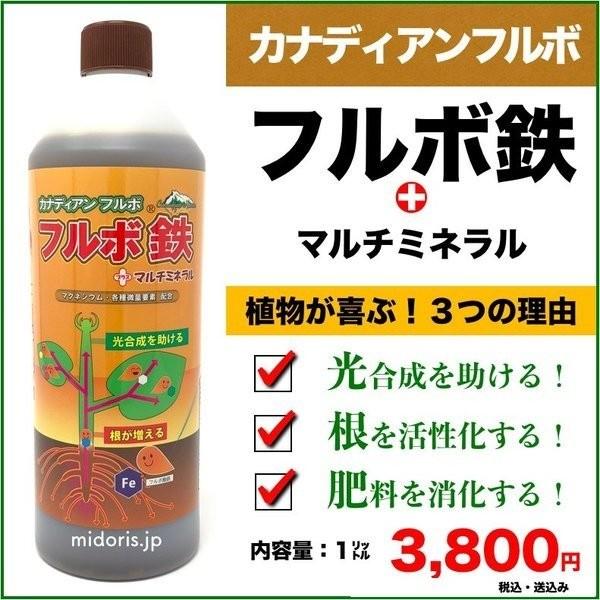 カナディアンフルボ鉄プラスマルチミネラル1kg 複合肥料 植物成長促進剤 液剤 液肥 土壌改良 ガー...