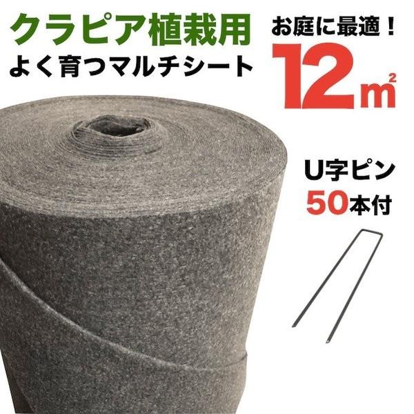 クラピア専用マルチシートセットお庭用 シート1m×12m（12m2）+ U字型ピン（50本） クラピ...