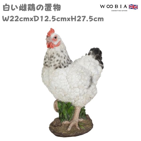 置物 鳥 かわいい オブジェ 北欧 動物 白い雌鶏 ニワトリ 高さ27.5cm woobia おしゃ...