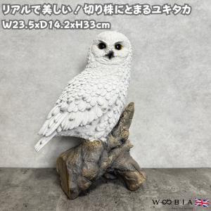 WOOBIA（ウービア） 鳥 置物 オブジェ 北欧 動物 かわいい キンケイ