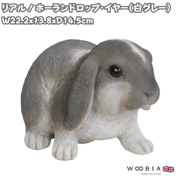 置物 うさぎ ホーランドロップイヤー 白グレー 幅22.2cm woobia ウービア リアル かわ...