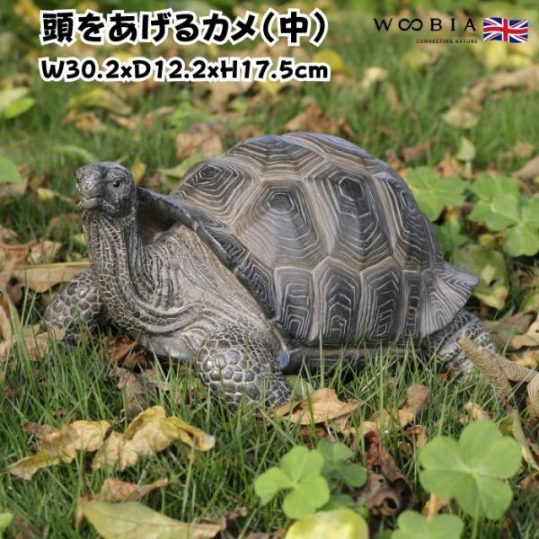 置物 動物 頭をあげるカメ 中 亀グッズ 高さ17.5cm woobia おしゃれ 大きい 玄関イン...
