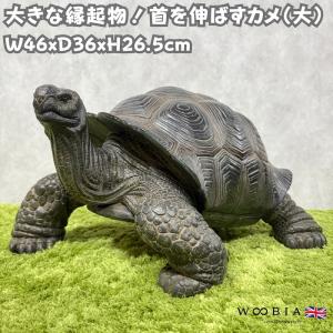 WOOBIA（ウービア） 置物 動物 ヘルマンリクガメ 特大亀グッズ 横幅
