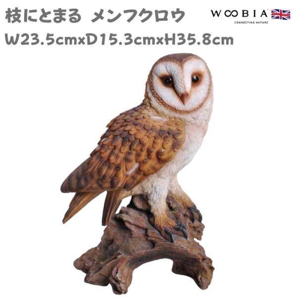 置物 鳥 かわいい オブジェ 北欧 動物 枝にとまる メンフクロウ 高さ35.8cm woobia ...