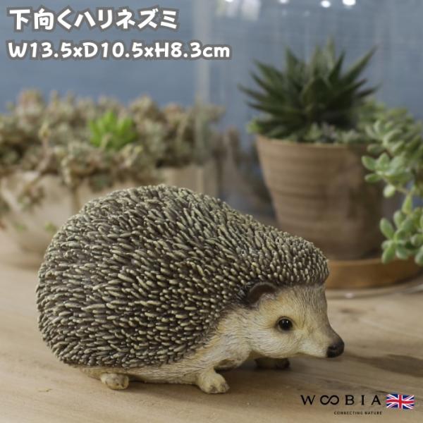 置物 かわいい 動物 玄関 下向くハリネズミの置物 おしゃれ インテリア 庭 ガーデンオーナメント ...