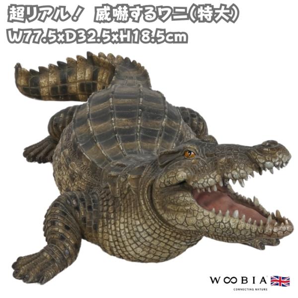 置物 動物 威嚇するワニ 高さ18.5cm woobia おしゃれ 大きい 玄関インテリア 庭 ガー...