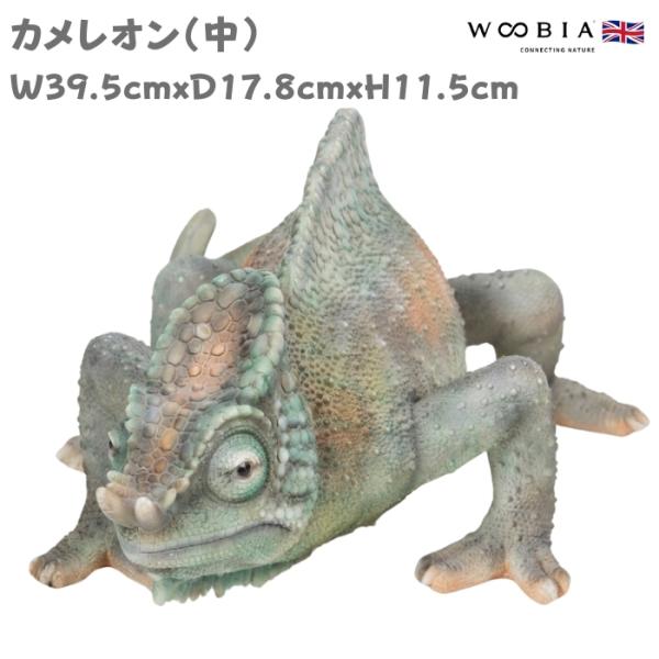 置物 カメレオン 中 かわいい 爬虫類 オブジェ 北欧 動物 横幅39.5cm woobia おしゃ...