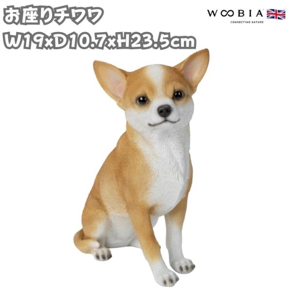 置物 犬 動物 お座りチワワ 高さ23.5cm woobia woobia おしゃれ 大きい 玄関 ...