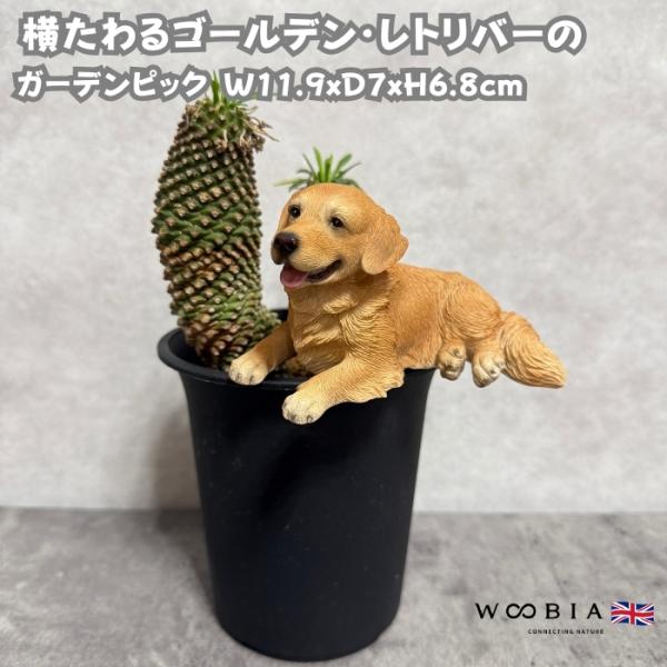 犬 置物 おしゃれ 横たわるゴールデン・レトリバーのガーデンピック かわいい インテリア ガーデンオ...