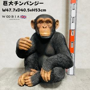 コモドドラゴンの木彫り 50cm コモドオオトカゲの置物 爬虫類の置物