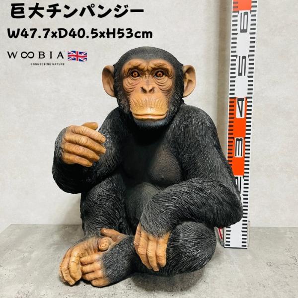 置物 動物 チンパンジー 高さ53cm おしゃれ 大きい 玄関 インテリア 庭 ガーデン かわいい ...