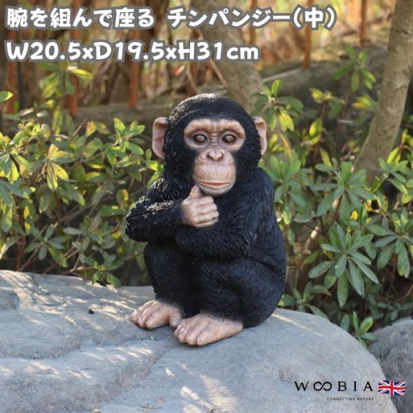 置物 動物 腕を組んで座る チンパンジー 中 高さ28cm おしゃれ 大きい 玄関 インテリア 庭 ...