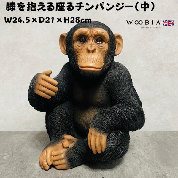 置物 動物 チンパンジー 高さ28cm おしゃれ 大きい 玄関 インテリア 庭 ガーデン かわいい ...