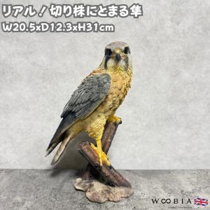 置物 鳥 かわいい オブジェ 北欧 動物 枝にとまる メンフクロウ 高さ
