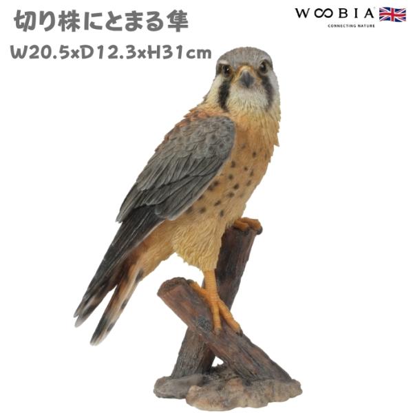 鳥 置物 オブジェ 北欧 動物 かわいい 切り株にとまる隼 高さ31cm woobia おしゃれ 玄...