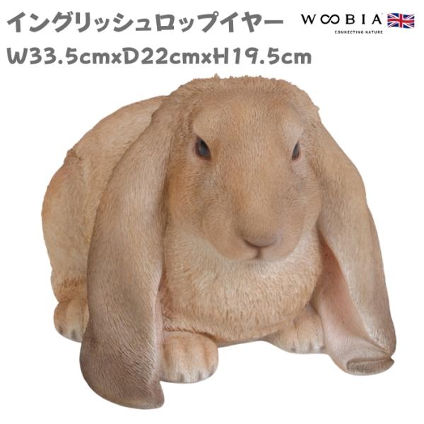 ウサギの置物 イングリッシュロップイヤー 横幅33.5cm 兎 woobia おしゃれ 玄関インテリ...