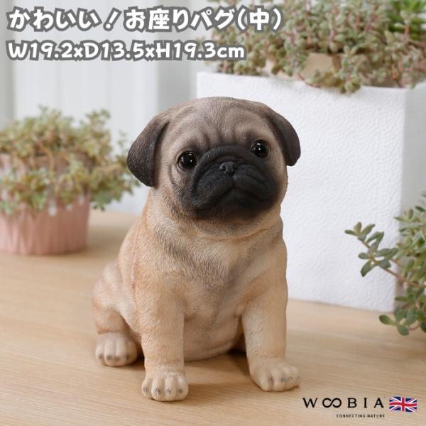 置物 犬 かわいい 動物 玄関 お座り パグ おしゃれ 贈り物 可愛い インテリア ガーデンオーナメ...