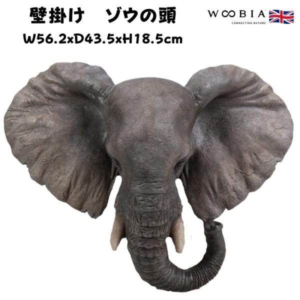 アニマルヘッド壁掛け ゾウ 象グッズ 置物 縁起物 風水 woobia 動物 おしゃれ 大きい 玄関...