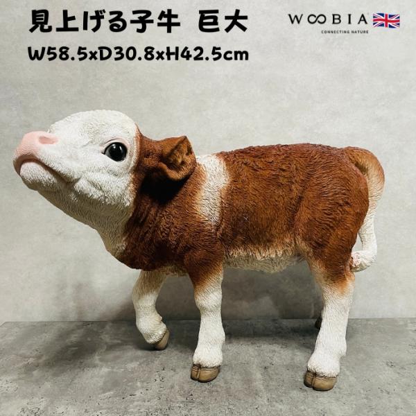 置物 動物 見上げる子牛 高さ42.5cm woobia おしゃれ 大きい 玄関インテリア 庭 ガー...