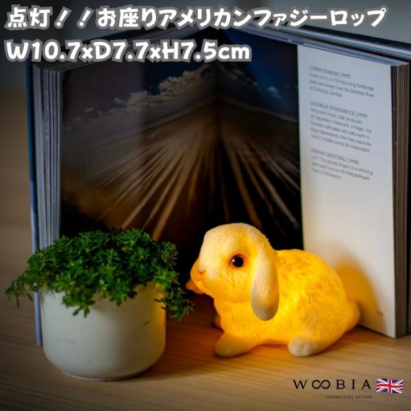 ウサギの置物 お座りアメリカンファジーロップ 白 ライト 兎 woobia おしゃれ 玄関インテリア...