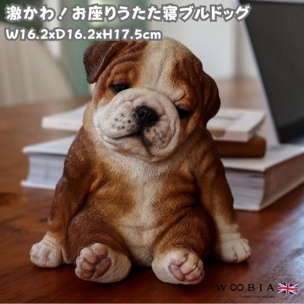 置物 犬 かわいい 動物 玄関 居眠りするブルドッグ 小 おしゃれ インテリア ガーデンオーナメント...