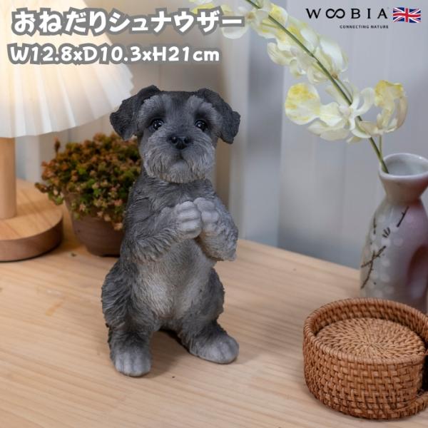 犬 置物 おしゃれ おねだりシュナウザー かわいい 動物 インテリア オブジェ ガーデンオーナメント...