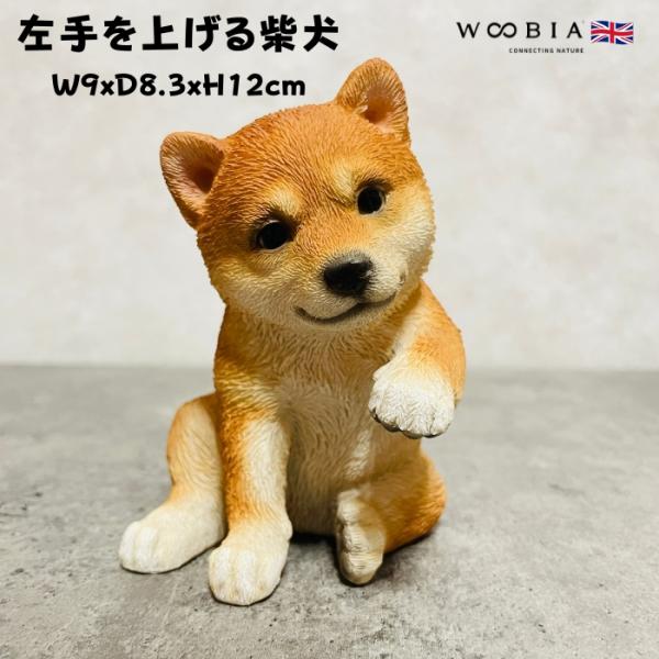 置物 犬 かわいい 動物 玄関 左手を上げる柴犬 グッズ おしゃれ インテリア 卓上 ガーデン 庭 ...