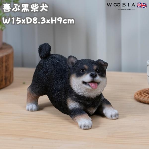 置物 犬 かわいい 動物 玄関 喜ぶ黒柴犬 グッズ おしゃれ インテリア 卓上 ガーデン 庭 woo...