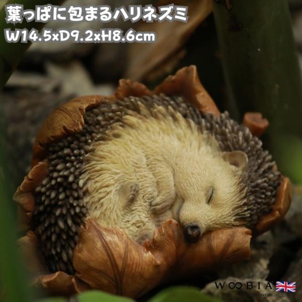 置物 かわいい 動物 玄関 葉っぱに包まるハリネズミ おしゃれ インテリア 庭 ガーデン woobi...