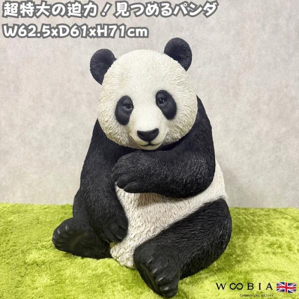 置物 動物 見つめるパンダ 大 高さ71cm おしゃれ 大きい 玄関 インテリア 庭 ガーデン かわ...