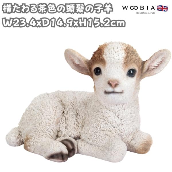 置物 動物 横たわる茶色の頭髪の子羊 高さ15.2cm グッズ woobia おしゃれ 大きい 玄関...