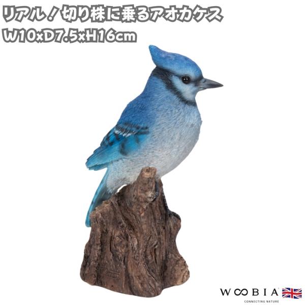 置物 鳥 アオカケス 高さ16cm woobia ウービア 野鳥 リアル おしゃれ 玄関 インテリア...