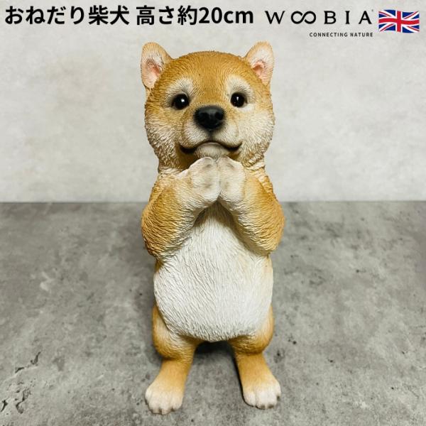 置物 犬 高さ20.5cm かわいい 動物 玄関 おねだり柴犬 グッズ おしゃれ インテリア 卓上 ...