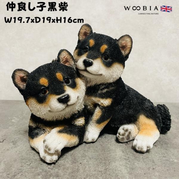 置物 犬 かわいい 動物 玄関 仲良し子黒柴犬 横幅19.7cm グッズ おしゃれ インテリア 卓上...