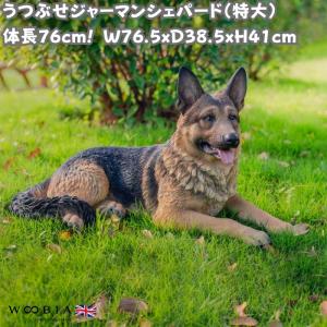 ドーベルマン 置物 犬 インテリア オブジェ 陶器 doberman-106