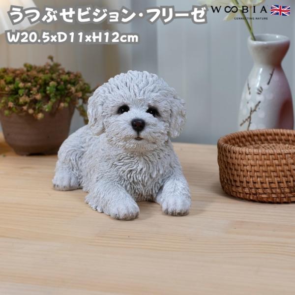犬 置物 横幅20.5cm おしゃれ うつぶせビションフリーゼ かわいい 動物 インテリア オブジェ...